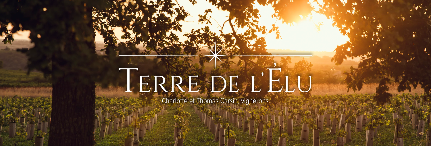 Boutique Terre de l'Elu